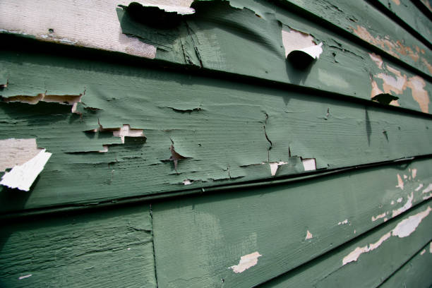 Junk Removal for Events in Dexter, MI