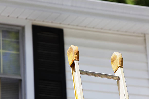 Best Property Management Cleanouts  in Dexter, MI
